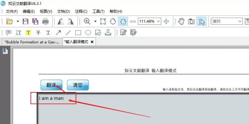 知云文献翻译如何使用输入翻译模式?知云文献翻译开始输入翻译模式教程