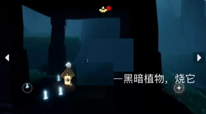 光遇1月3日每日任务怎么完成?光遇1月3日每日任务完成攻略
