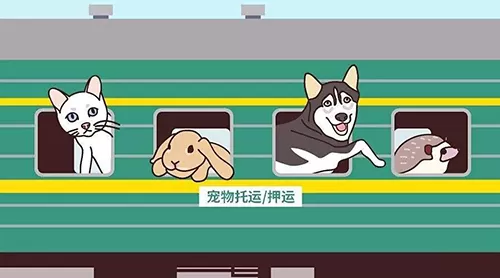 想带宠物猫一起乘火车出行,较为安全稳妥的方法是?支付宝蚂蚁庄园5月9日答案