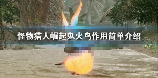 怪物猎人崛起鬼火鸟怎么用 怪物猎人崛起鬼火鸟作用简单介绍