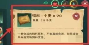 创造与魔法云斑鹦鸟饲料怎么制作?创造与魔法云斑鹦鸟饲料制作攻略