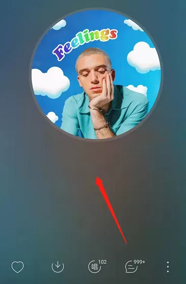 网易云音乐怎么关闭歌词翻译?网易云音乐关闭歌词翻译操作步骤
