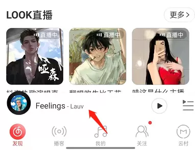 网易云音乐怎么关闭歌词翻译?网易云音乐关闭歌词翻译操作步骤