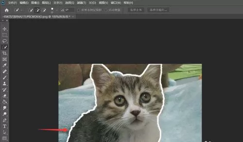 万兴喵影filmora如何绘作人物描边定格?万兴喵影filmora制作人物描边定格教程