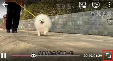 哔哩哔哩如何双击关闭弹幕?哔哩哔哩双击关闭弹幕方法步骤