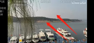 哔哩哔哩如何双击关闭弹幕?哔哩哔哩双击关闭弹幕方法步骤