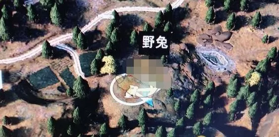 《孤岛惊魂5》野兔狩猎地点一览