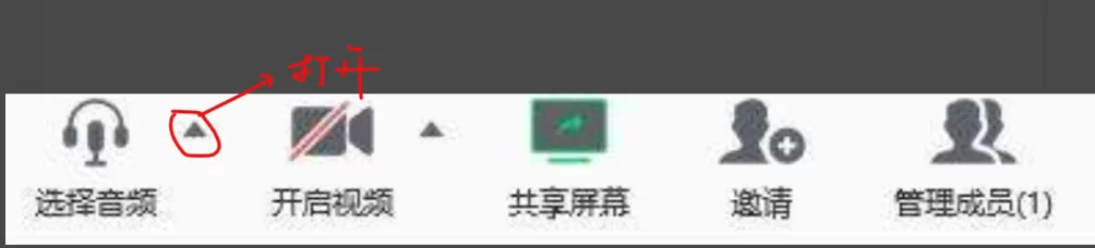 腾讯会议怎么使用电脑音频 腾讯会议播放电脑音频的方法