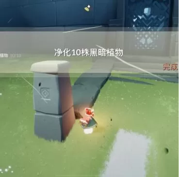光遇8月2日每日任务怎么完成?光遇8月2日每日任务完成攻略