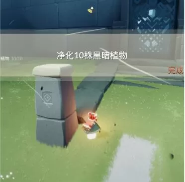 光遇7月25日每日任务怎么完成?光遇7月25日每日任务完成攻略