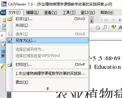 cajviewer怎么转换成word cajviewer转换成word方法
