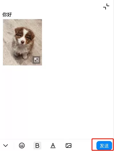 钉钉图片文字可以一起发吗?钉钉图片文字一起发教程