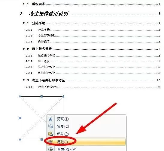 word如何插入动画-word插入Flash动画的详细步骤