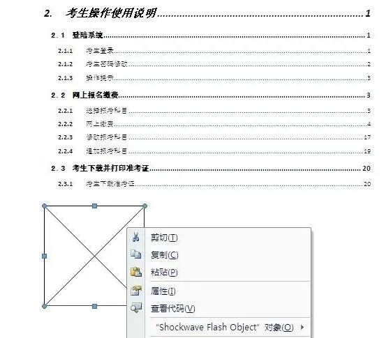 word如何插入动画-word插入Flash动画的详细步骤