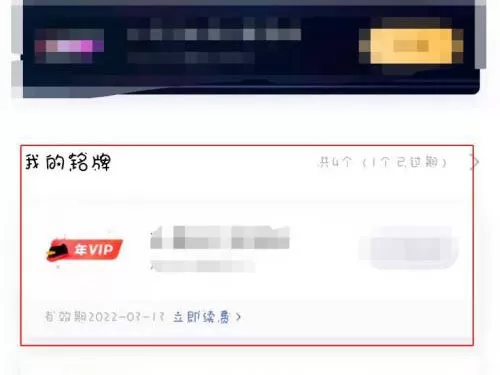 qq会员还有多长时间到期在哪里看?qq会员还有多长时间到期的查看方法