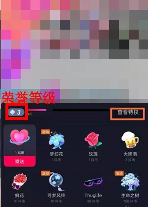抖音个人直播等级如何查看?抖音个人直播等级的查看方法