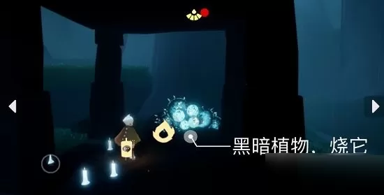 光遇5月12日每日任务怎么完成?光遇5月12日每日任务完成攻略