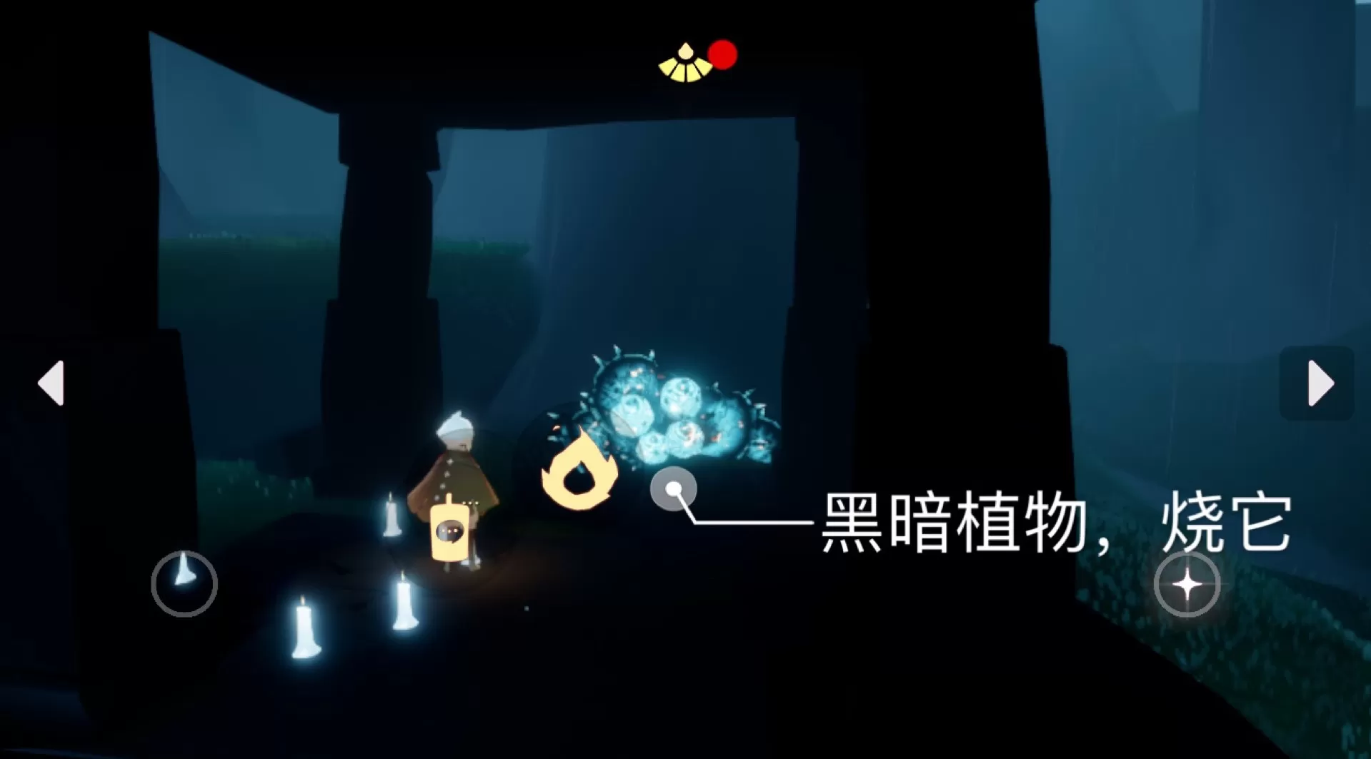 光遇5月11日每日任务怎么做?光遇5月11日每日任务完成攻略