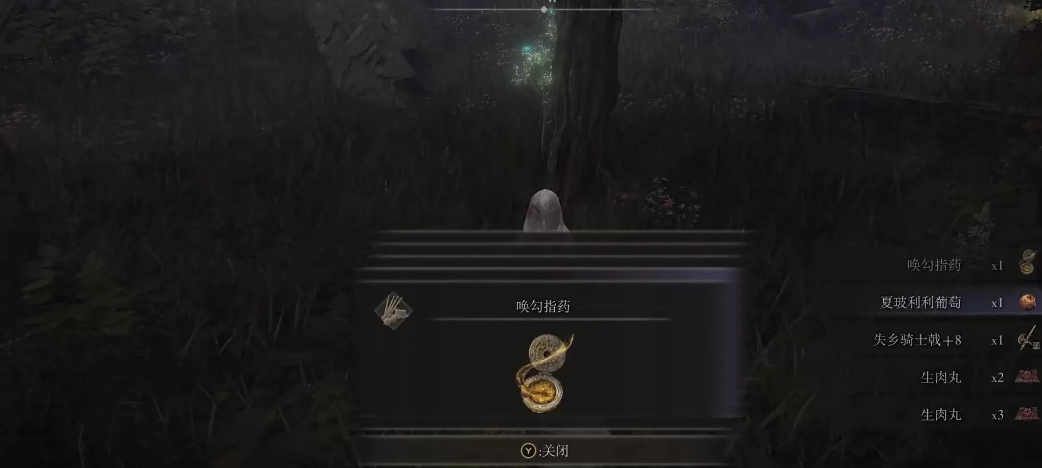 艾尔登法环伊蕾娜支线怎么做?艾尔登法环伊蕾娜支线任务完成攻略