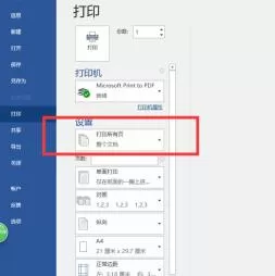 word2016怎样设置自定义打印范围 word2016中自定义打印范围的操作步骤