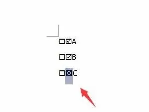 word方框里打钩的详细操作步骤