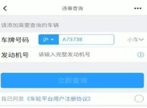 懂车帝违章在哪里查?懂车帝查询违章操作方法