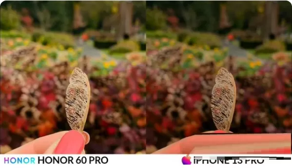 荣耀60Pro和iPhone13Pro拍照哪个好?荣耀60Pro和iPhone13Pro拍照对比介绍