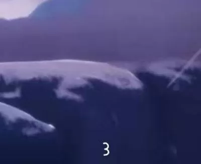 光遇地图大侦探地图推理答案是什么?光遇地图大侦探地图推理答案介绍