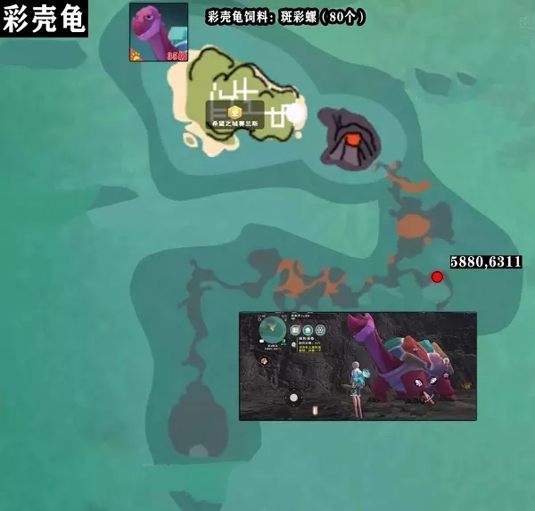 创造与魔法彩壳龟怎么获取?创造与魔法捕捉彩壳龟攻略