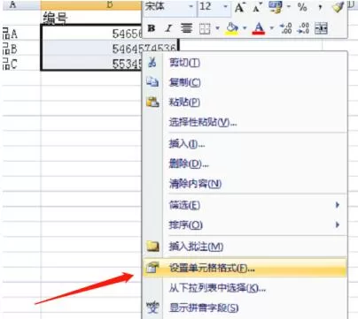 Excel将单元格数据按指定格式显示的操作内容