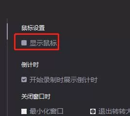 转转大师中进行设置显示鼠标的详细步骤