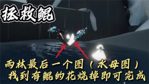光遇11月29日每日任务怎么做?光遇11月29日每日任务完成攻略