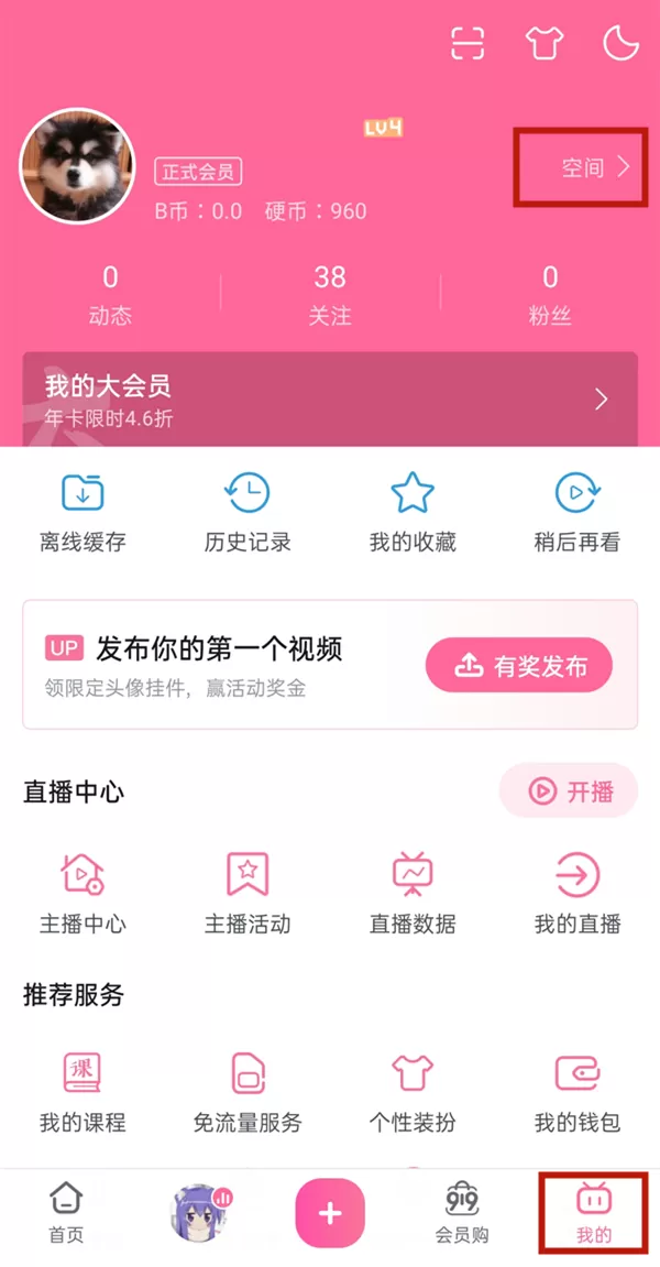 b站订阅位置介绍 b站怎么查看订阅?