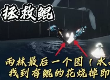 光遇10月26日每日任务怎么做?光遇10月26日每日任务完成攻略