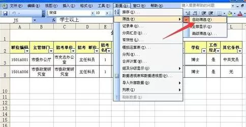 Excel自动筛选使用操作详解