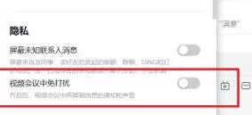 钉钉设置视频会议免打扰的操作过程
