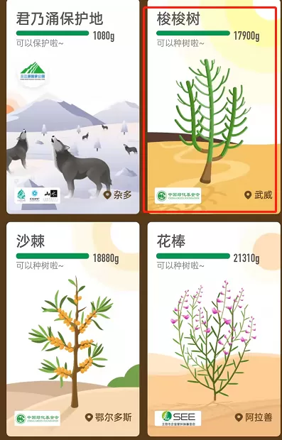 蚂蚁森林怎么获取已种树永久皮肤?支付宝蚂蚁森林获取已种树永久皮肤的方法