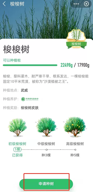 蚂蚁森林怎么获取已种树永久皮肤?支付宝蚂蚁森林获取已种树永久皮肤的方法