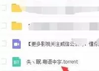 百度网盘怎么播放bt种子文件?百度网盘播放bt种子文件教程
