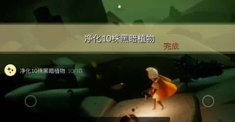 光遇8月6日每日任务怎么做?光遇8月6日每日任务完成攻略