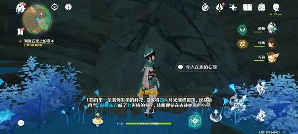 原神调查石壁上的灌木怎么做?原神调查石壁上的灌木任务攻略