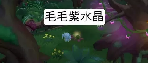 摩尔庄园手游毛毛紫水晶怎么获得?摩尔庄园手游毛毛紫水晶获得方法