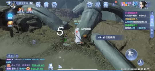 梦幻新诛仙古怪的蘑菇怎么过？梦幻新诛仙古怪的蘑菇任务攻略
