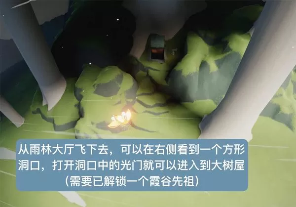 光遇智慧宝库秘密区域在哪?光遇智慧宝库秘密区域位置介绍