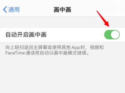 苹果手机怎样开启画中画?苹果手机画中画开启方法分享