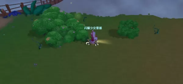 摩尔庄园黑色浆果在哪里?摩尔庄园黑色浆果位置介绍
