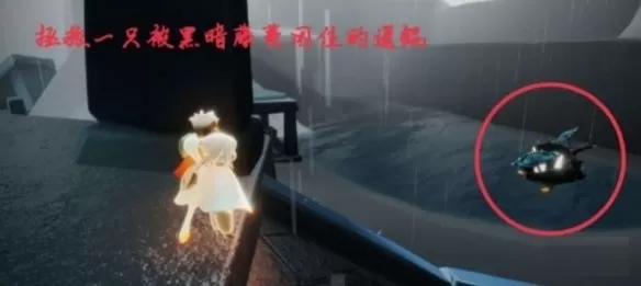 光遇5月27日每日任务怎么做?光遇5月27日每日任务完成攻略