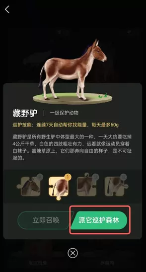 蚂蚁森林巡护动物怎么换?蚂蚁森林换巡护动物的教程步骤