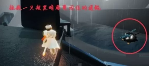 光遇5月11日每日任务怎么做?光遇5月11日每日任务完成方法
