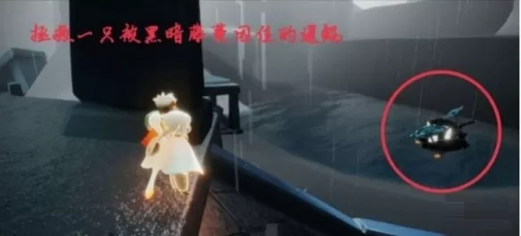 光遇5月12日每日任务怎么做?光遇5月12日每日任务完成方法